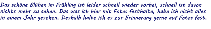 Das schne Blhen im Frhling ist leider schnell wieder vorbei, schnell ist davon nichts mehr zu sehen. Das was ich hier mit Fotos festhalte, habe ich nicht alles in einem Jahr gesehen. Deshalb halte ich es zur Erinnerung gerne auf Fotos fest.