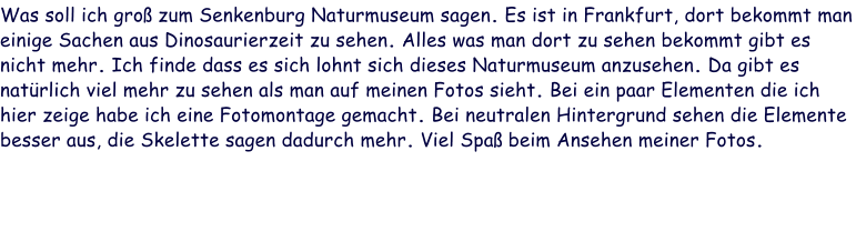 Was soll ich groß zum Senkenburg Naturmuseum sagen. Es ist in Frankfurt, dort bekommt man einige Sachen aus Dinosaurierzeit zu sehen. Alles was man dort zu sehen bekommt gibt es nicht mehr. Ich finde dass es sich lohnt sich dieses Naturmuseum anzusehen. Da gibt es natürlich viel mehr zu sehen als man auf meinen Fotos sieht. Bei ein paar Elementen die ich hier zeige habe ich eine Fotomontage gemacht. Bei neutralen Hintergrund sehen die Elemente besser aus, die Skelette sagen dadurch mehr. Viel Spaß beim Ansehen meiner Fotos.