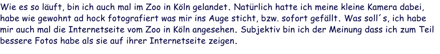 Wie es so läuft, bin ich auch mal im Zoo in Köln gelandet. Natürlich hatte ich meine kleine Kamera dabei, habe wie gewohnt ad hock fotografiert was mir ins Auge sticht, bzw. sofort gefällt. Was soll´s, ich habe mir auch mal die Internetseite vom Zoo in Köln angesehen. Subjektiv bin ich der Meinung dass ich zum Teil bessere Fotos habe als sie auf ihrer Internetseite zeigen.