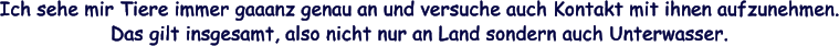 Ich sehe mir Tiere immer gaaanz genau an und versuche auch Kontakt mit ihnen aufzunehmen. Das gilt insgesamt, also nicht nur an Land sondern auch Unterwasser.