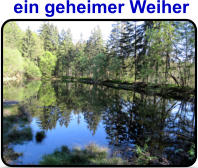 ein geheimer Weiher