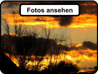 Fotos ansehen