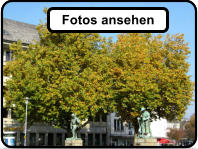 Fotos ansehen