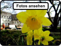 Fotos ansehen