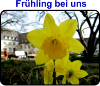 Frühling bei uns