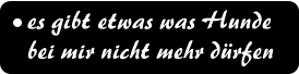 es gibt etwas was Hunde  bei mir nicht mehr drfen