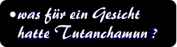 was fr ein Gesicht  hatte Tutanchamun ? was fr ein Gesicht  hatte Tutanchamun ?